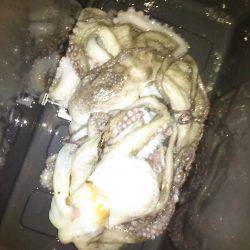 オクトパッシング