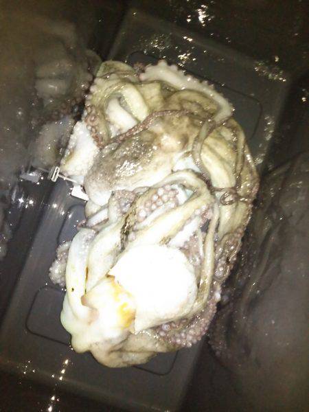 オクトパッシング