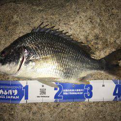 淀川ブリゲー つ抜け