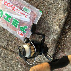 ファミリーフィッシング