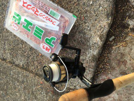 ファミリーフィッシング