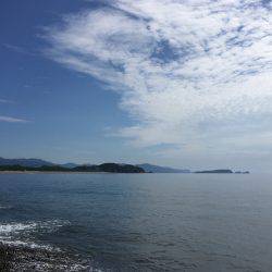 大里松原海岸 ダツゲー94cm