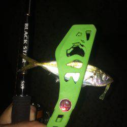 ケンサキフィーバー＆マメアジング