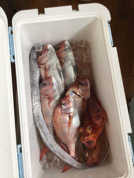 鯛ラバデビュー