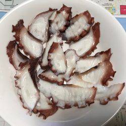 タコ釣り  明石  阪本丸