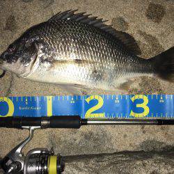 淀川ブリゲー 100枚達成