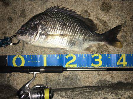 淀川ブリゲー 100枚達成