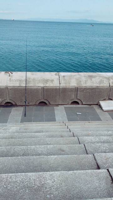 ライトショアジギング