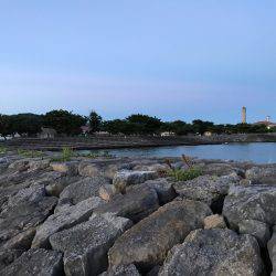 石垣島旅行 夕飯前にちょい釣り