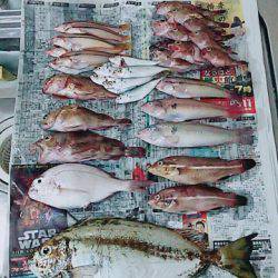 コブダイ釣りだったのに..