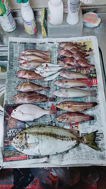 コブダイ釣りだったのに..