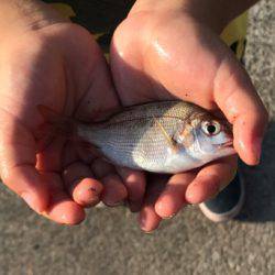 お気軽に五目釣り！