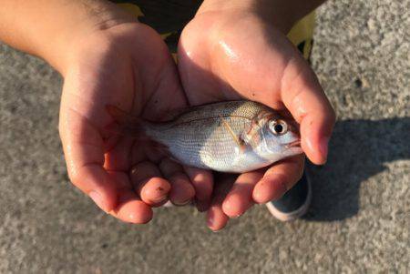 お気軽に五目釣り！