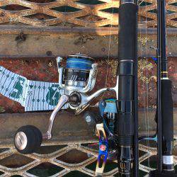 ハマチ?ハマチ!ハマチ!