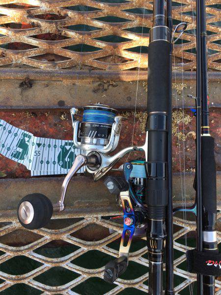 ハマチ?ハマチ!ハマチ!