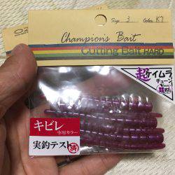 淀川ブリゲー パターン変化