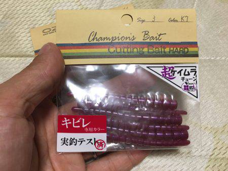 淀川ブリゲー パターン変化