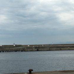 ツバスの回遊あり