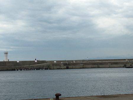 ツバスの回遊あり