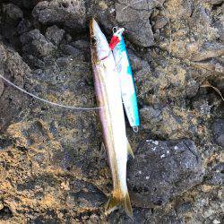 久々ショアジギ