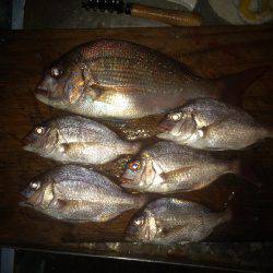 残炎惨敗からのウキスポン‼︎