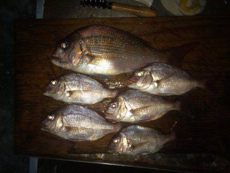 残炎惨敗からのウキスポン‼︎