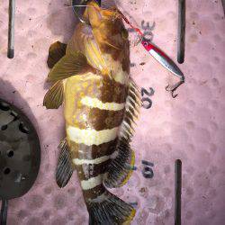 マイボートでタイラバ、ジギング