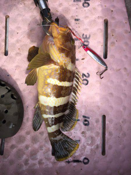 マイボートでタイラバ、ジギング