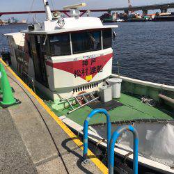 今期初物タチウオ、タコともお別れ!