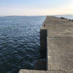 津田沖一文字で10cmアジ多数釣れました。