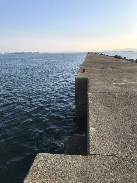 津田沖一文字で10cmアジ多数釣れました。