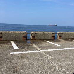 ショアジギ 3目？