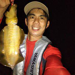 ナイトエギング