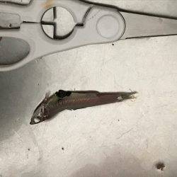 親切な方々のおかげで