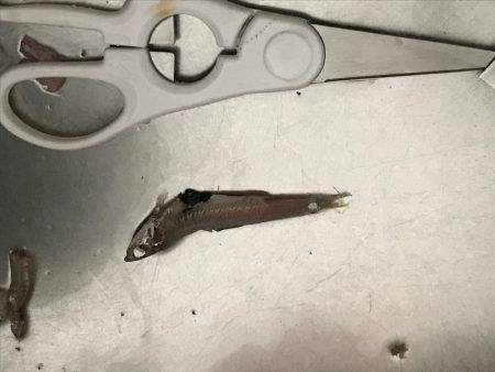 親切な方々のおかげで