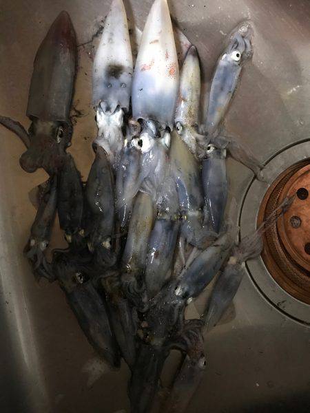 またまたダブルスッテで