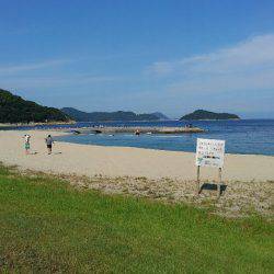 片添にて夜釣り