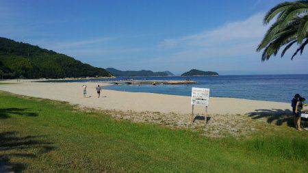 片添にて夜釣り