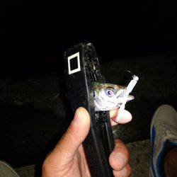 お盆の最後は子供サービス