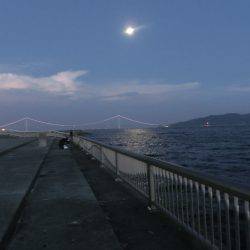 剣先イカ 絶好調‼