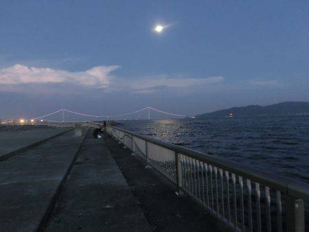 剣先イカ 絶好調‼