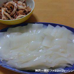 アオリイカ 来たーっ‼