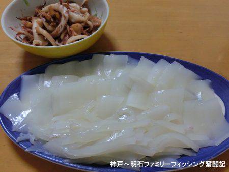 アオリイカ 来たーっ‼