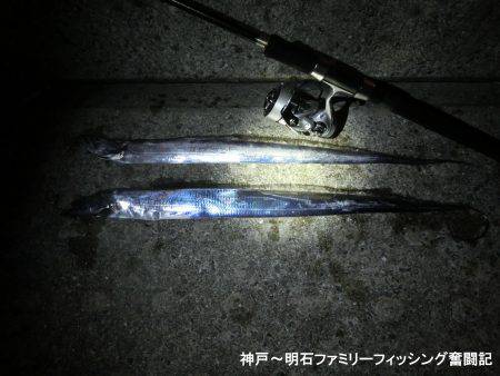 渋いなかでもまずまずかな