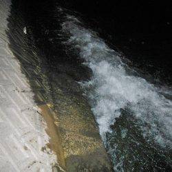 リバーシーバス