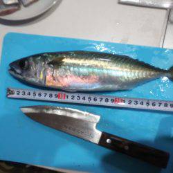 今日は当たりや！