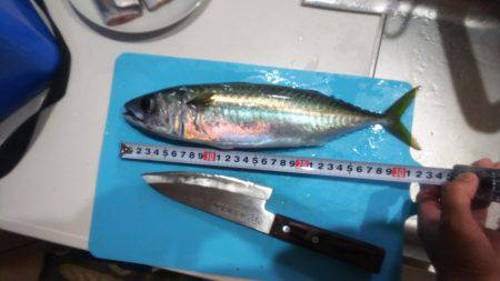 今日は当たりや！