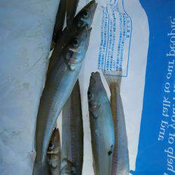 今年初キッス❤