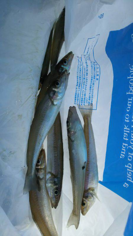 今年初キッス❤