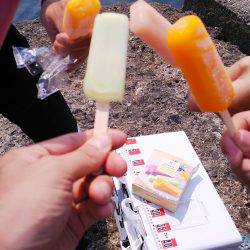 野島沖堤ライトゲーム